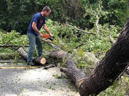 Best Aeration Services  in Ocean Park, WA