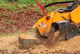 Best Stump Grinding and Removal  in Ocean Park, WA