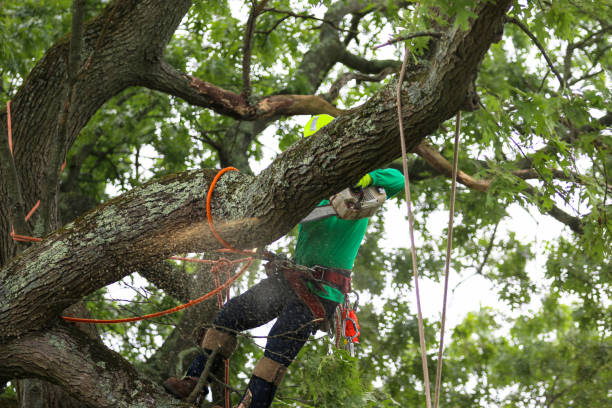 Mulching Services in Ocean Park, WA
