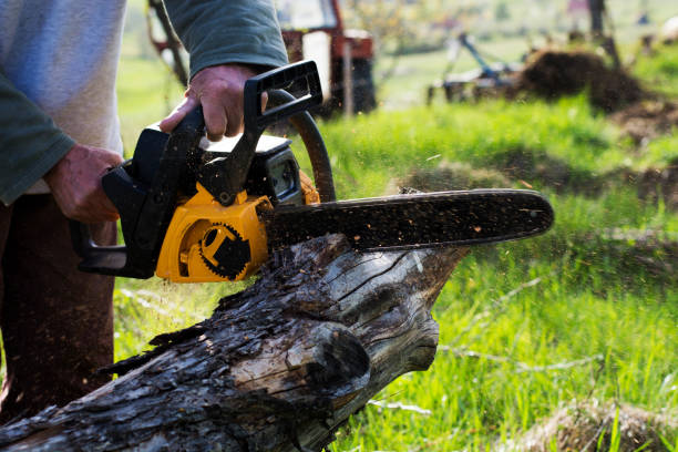 Best Grass Overseeding  in Ocean Park, WA